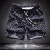 1Louis Vuitton Short Pants for men  #996901