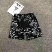 Louis Vuitton Pants for Louis Vuitton Short Pants for men #999925209