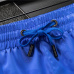 14Louis Vuitton Pants for Louis Vuitton Short Pants for men #A32198
