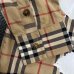 7Burberry Shirts for Burberry Men's AAA+ Burberry Long-Sleeved Shirts #99902070