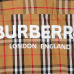 7Burberry Shirts for Men's Burberry Long-Sleeved Shirts #999925462