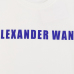7Alexander McQueen T-shirts #999919940