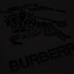 5Burberry T-Shirts for AAAA Burberry T-Shirts EUR/US Sizes #999936395