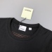 5Burberry T-Shirts for Burberry  AAAA T-Shirts #999926201