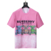 5Burberry T-Shirts for MEN #999921266