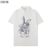 1Dior T-shirts for men #999931867