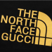 5Gucci &amp; The North face T-shirts #99901109