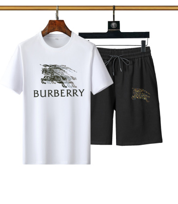 Burberry Tracksuits for Burberry Short Tracksuits for men #999936021
