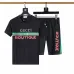 1Gucci Tracksuits for Gucci short tracksuits for men #A21752