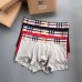 1Burberry Underwears for Men (3PCS) #99117245