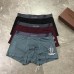 1Louis Vuitton Underwears for Men (3PCS) #99117265