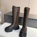 4Louis Vuitton Shoes for Women's Louis Vuitton boots #A25987